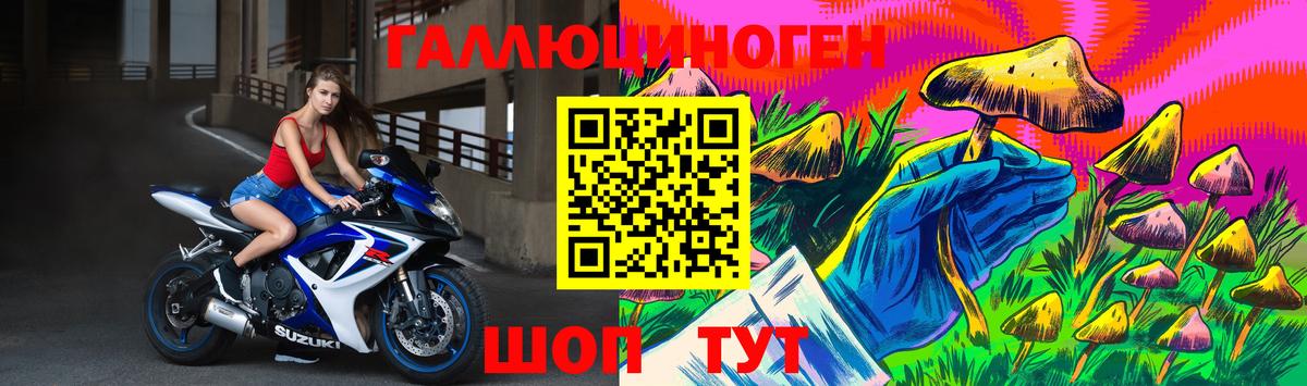Галлюциногенные грибы Psilocybe Реутов
