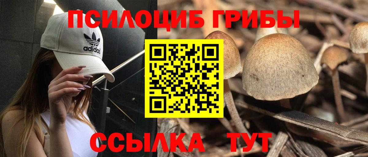 Реутов  Псилоцибиновые грибы Magic Shrooms  Галлюциногенные грибы Magic Shrooms  Вход с VPN 